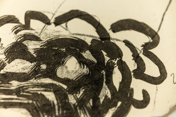 David Hockney Ann Combing Her Hair Signed Lithograph Edition of 75