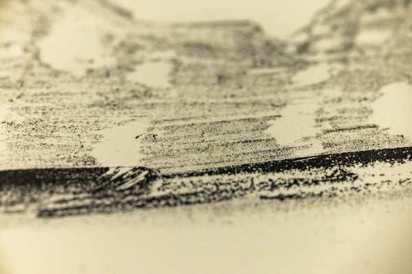 David Hockney Ann Combing Her Hair Signed Lithograph Edition of 75