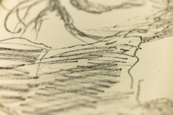 David Hockney Ann Combing Her Hair Signed Lithograph Edition of 75