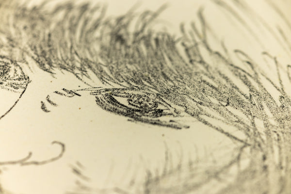 David Hockney Ann Combing Her Hair Signed Lithograph Edition of 75