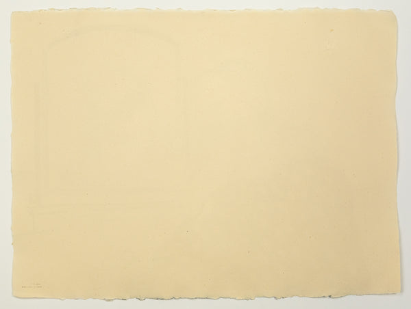 David Hockney Ann Combing Her Hair Signed Lithograph Edition of 75