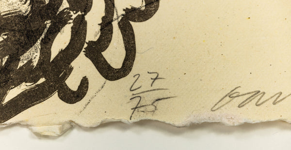 David Hockney Ann Combing Her Hair Signed Lithograph Edition of 75