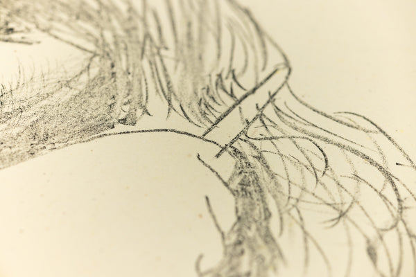 David Hockney Ann Combing Her Hair Signed Lithograph Edition of 75