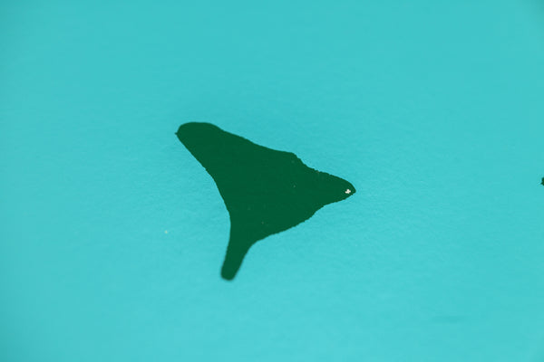 Donald Sultan, Wallflower (Aqua and Dark Green), is a 2018 large-scale color screenprint