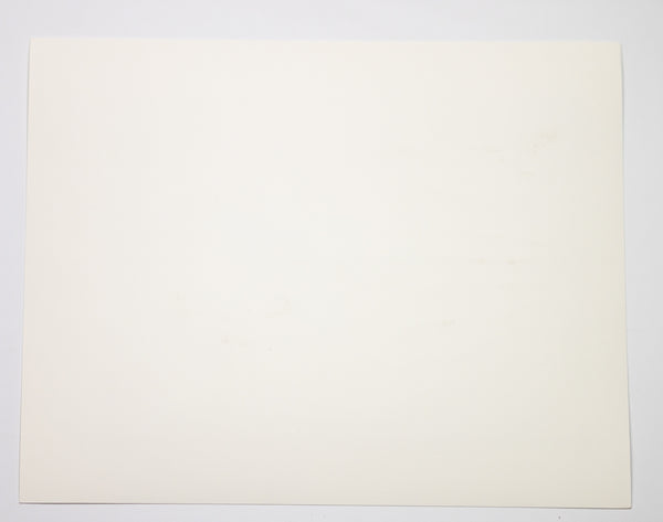 Donald Sultan Wallflower 28 Signed Color Screenprint 2008 Edition of 190
