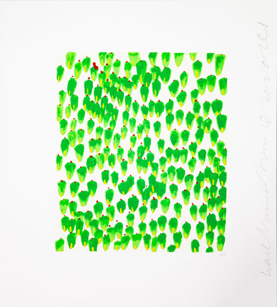 Donald Sultan Wallflower 28 Signed Color Screenprint 2008 Edition of 190