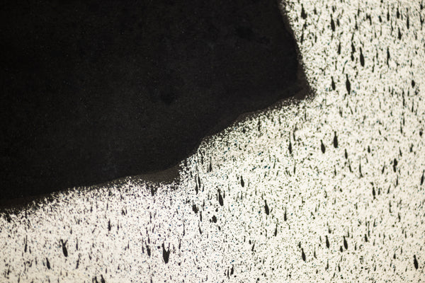 Ed Ruscha, Bailarina, (from Barcelona Suite/Portfolio California) Lithograph