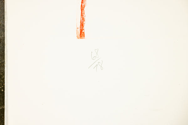 James Rosenquist Window Washer Glass House 1978 Signed Color Etching Edition of 78