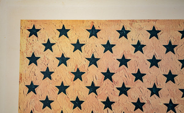 Jasper Johns Flag (Moratorium) 1969 Numbered and Signed Color Lithograph