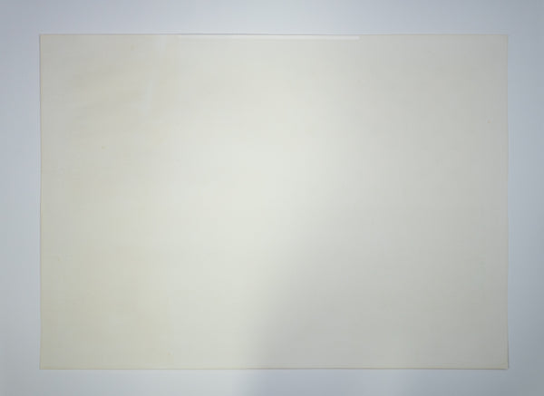 Jasper Johns Flag (Moratorium) 1969 Numbered and Signed Color Lithograph