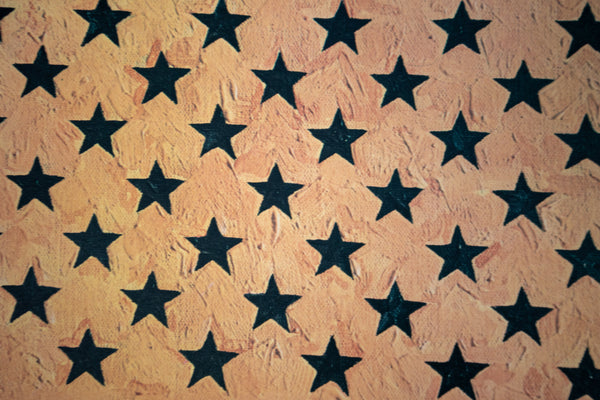 Jasper Johns Flag (Moratorium) 1969 Numbered and Signed Color Lithograph
