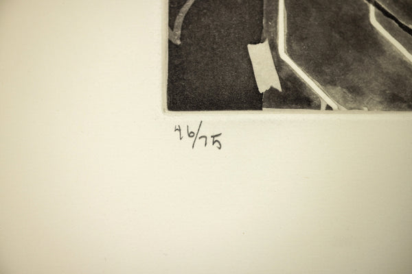 Jasper Johns Untitled from The Geldzahler Portfolio, 1998 Etching Signed Edition of 75