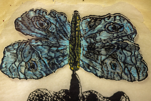 Kiki Smith Moth 1996 Woodcut Collage and Glitter Signed Edition of 42
