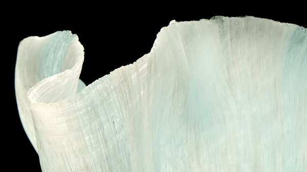 Toots Zynsky, Untitled (White & Ice Blue), Signed Filet-de-Verre Handblown Glass