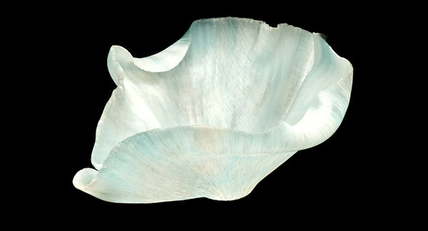 Toots Zynsky, Untitled (White & Ice Blue), Signed Filet-de-Verre Handblown Glass