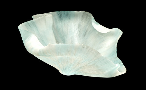 Toots Zynsky, Untitled (White & Ice Blue), Signed Filet-de-Verre Handblown Glass