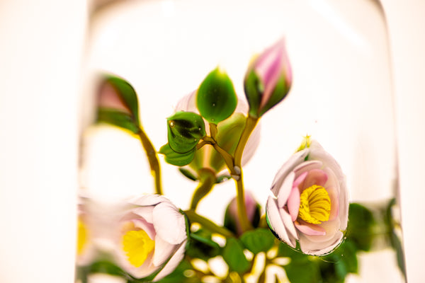 Paul Stankard Floating Peony Botanical Signed 1981 Handblown Glass