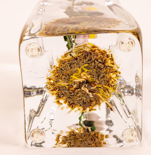 Paul Stankard Floating Peony Botanical Signed 1981 Handblown Glass