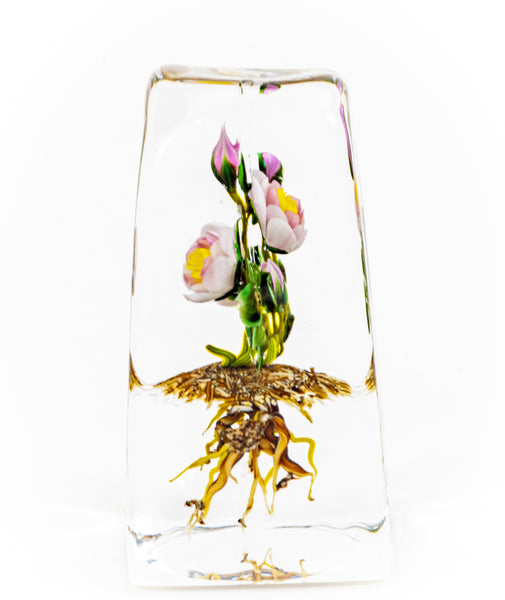 Paul Stankard Floating Peony Botanical Signed 1981 Handblown Glass