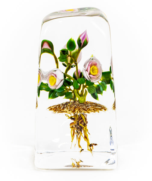 Paul Stankard Floating Peony Botanical Signed 1981 Handblown Glass