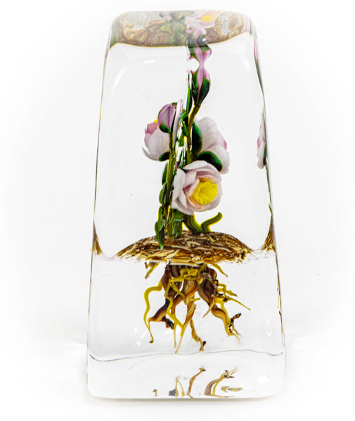 Paul Stankard Floating Peony Botanical Signed 1981 Handblown Glass