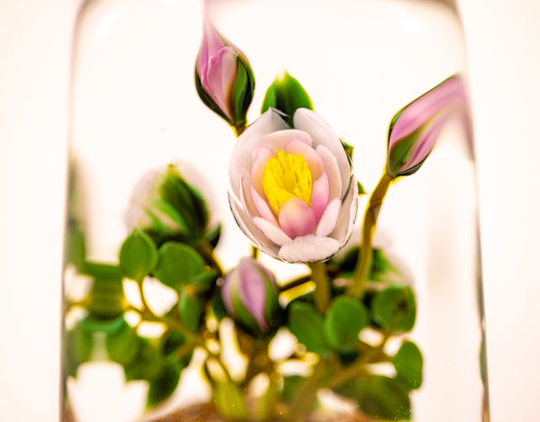 Paul Stankard Floating Peony Botanical Signed 1981 Handblown Glass
