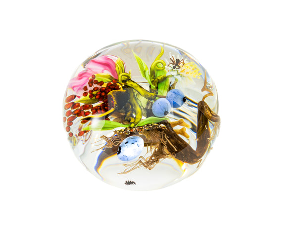 Paul Stankard Signed 1998 Hand Blown Glass Paperweight with Root People, Ant, Blueberries, and Flowers