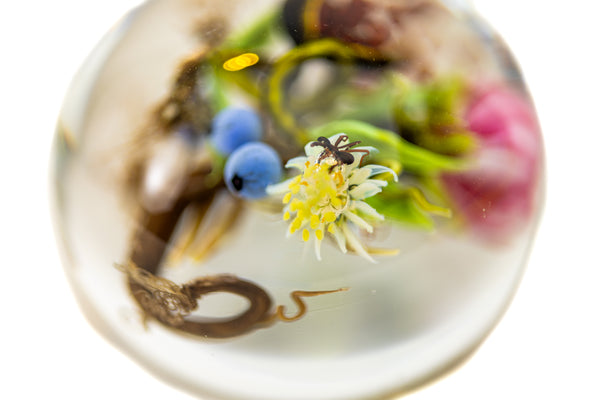 Paul Stankard Signed 1998 Hand Blown Glass Paperweight with Root People, Ant, Blueberries, and Flowers