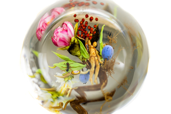 Paul Stankard Signed 1998 Hand Blown Glass Paperweight with Root People, Ant, Blueberries, and Flowers