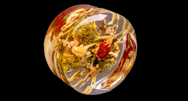 Paul Stankard Signed Hand Blown Glass Experimental Paperweight Sculpture Root People with Seed Pods and Moss