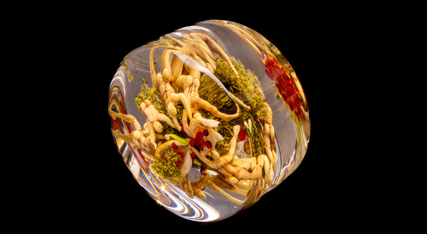 Paul Stankard Signed Hand Blown Glass Experimental Paperweight Sculpture Root People with Seed Pods and Moss