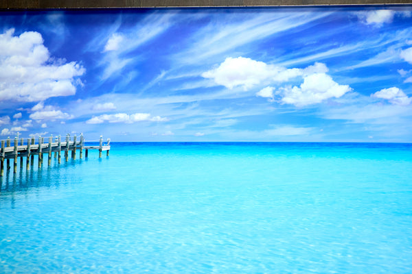 Peter Lik | Midsummer Dream (2015) | panoramic color photograph that is a signed, limited-edition print (919/950) presented in a large-format frame with a certificate of authenticity