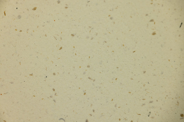 Robert Motherwell Beau Geste I 1989 Signed Lithograph Edition of 100