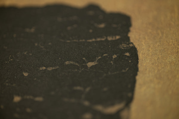 Robert Motherwell Primal Sign III Signed Etching Edition of 35