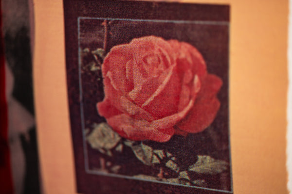 Robert Rauschenberg Flirt 1979 Signed Screenprint Edition of 100