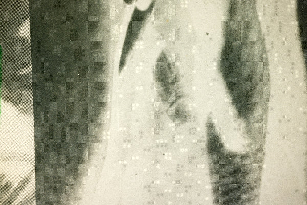 Robert Rauschenberg Gulf 1969 Signed 42” Lithograph Edition of 31