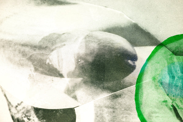 Robert Rauschenberg Gulf 1969 Signed 42” Lithograph Edition of 31