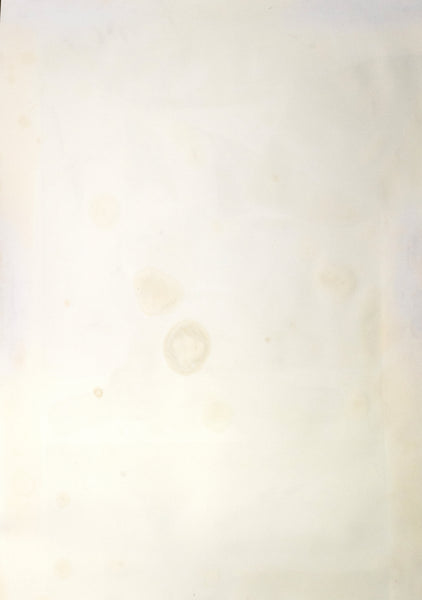 Robert Rauschenberg Gulf 1969 Signed 42” Lithograph Edition of 31