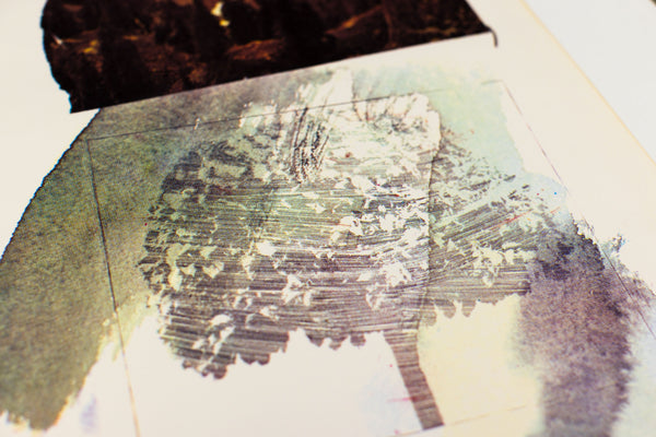 Robert Rauschenberg, Untitled (McGovern), 1972 Signed Lithograph Edition of 75