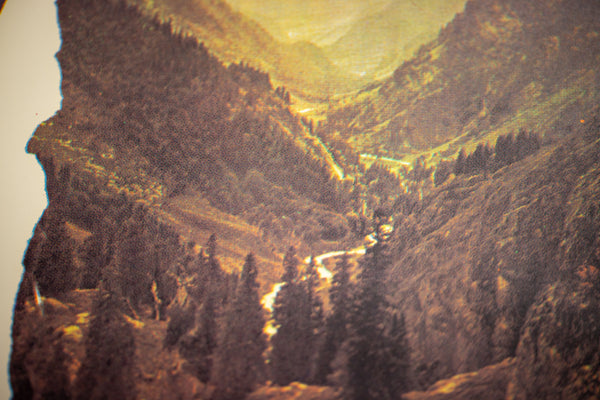 Robert Rauschenberg Untitled (McGovern) 1972 Signed Lithograph Edition of 75