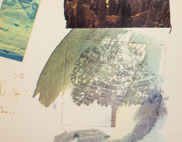 Robert Rauschenberg Untitled (McGovern) 1972 Signed Lithograph Edition of 75