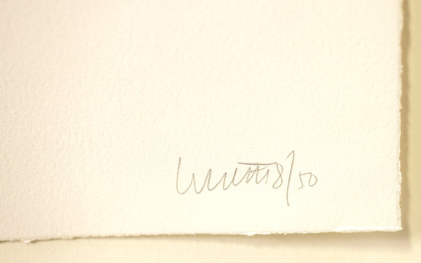 Sol LeWitt, Eight Cubic Rectangles, (1995 Diptych), color etching and aquatint on two sheets of Somerset paper