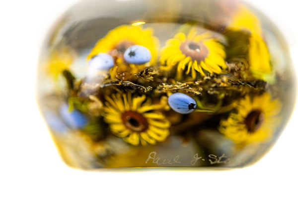 Paul Stankard and Rick Ayotte Fertile Nectar Signed Hand Blown Glass Round Paperweight with Frog, Bee