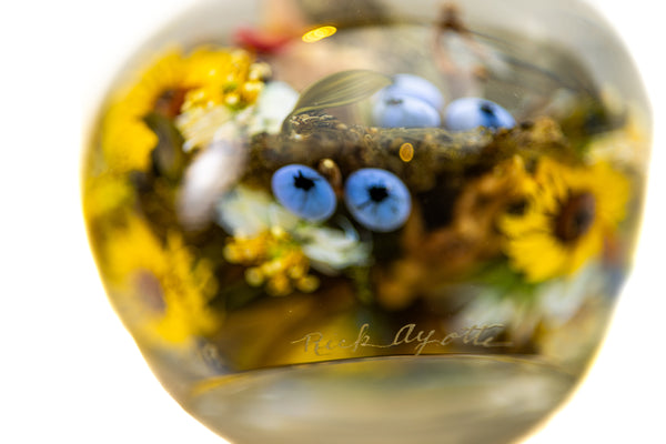 Paul Stankard and Rick Ayotte Fertile Nectar Signed Hand Blown Glass Round Paperweight with Frog, Bee