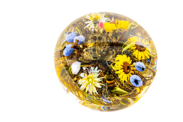 Paul Stankard and Rick Ayotte Fertile Nectar Signed Hand Blown Glass Round Paperweight with Frog, Bee