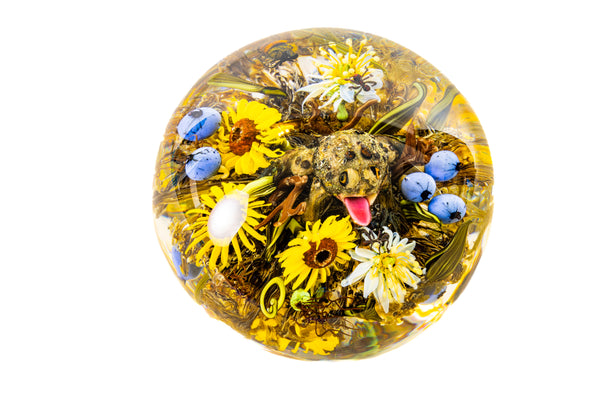 Paul Stankard and Rick Ayotte Fertile Nectar Signed Hand Blown Glass Round Paperweight with Frog, Bee