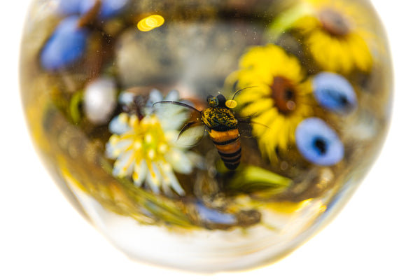 Paul Stankard and Rick Ayotte Fertile Nectar Signed Hand Blown Glass Round Paperweight with Frog, Bee