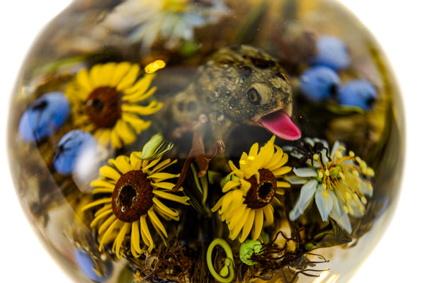 Paul Stankard and Rick Ayotte Fertile Nectar Signed Hand Blown Glass Round Paperweight with Frog, Bee