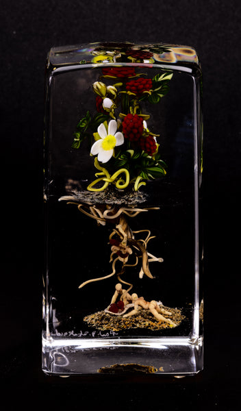 Paul Stankard Signed Hand Blown Glass Paperweight Sculpture Root People with White Flowers and Red Berries