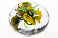 Paperweight Seeds Cane and Yellow Lillys with Wildflowers and Bursting seed Pots